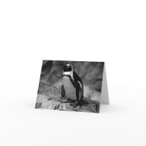 Penguin Greeting Card