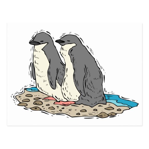 Penguin Couple Sandy Beach Postcard