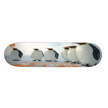 Penguin Fun In The Sun Skateboard Decks