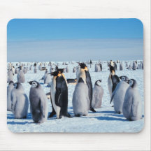 Penguin Gathering Mousepads