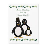 Penguin Greeting 3 postcards