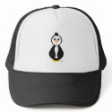 Penguin hats
