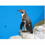 Penguin In Harewood Park photo sculptures