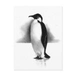 PENGUIN IN PENCIL: REALISM ART postcards