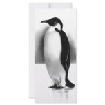 PENGUIN IN PENCIL: REALISM ART rack cards