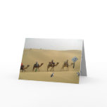 Penguin in the Desert Card