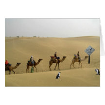 Penguin in the Desert Card