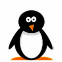 Penguin Kid's Shirt