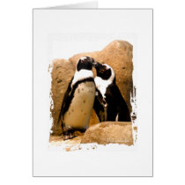 Penguin Love cards