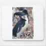 PENGUIN MOUSEPAD