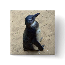 Penguin on sand
