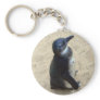 Penguin on sand