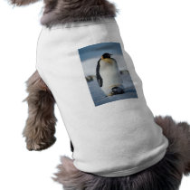 Penguin Parent & Chick Dog T Shirt