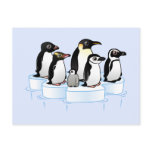 Penguin Party
