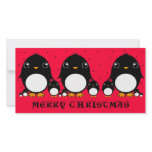Penguin photo card photo cards
