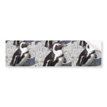 Penguin Portrait Bumper Sticker