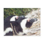 Penguin Postcard