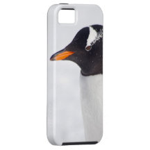 Penguin Profile iPhone 5 Cases
