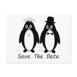 Penguin Save The Date Wedding Announcement postcards