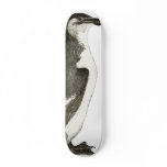 Penguin Skateboard