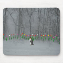 Penguin Spring Walk