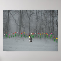 Penguin Spring Walk