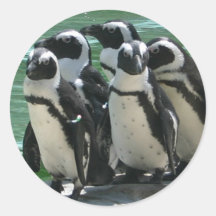 Penguin Sticker