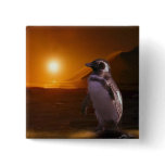 PENGUIN SUNSET buttons
