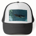 Penguin Swim hats