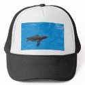 Penguin Swimming In The Pool hats