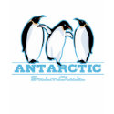 Penguin Swimming t-shirts