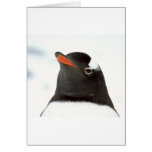 Penguin-tastic Greetings Card