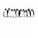penguin theory t-shirts
