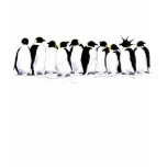 penguin theory t-shirts