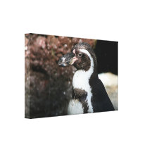 Penguin Wrapped Canvas Gallery Wrap Canvas