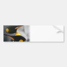 Penguins Bumper Stickers