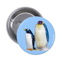 Penguins Drawing Pins