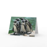 Penguins Greeting Card
