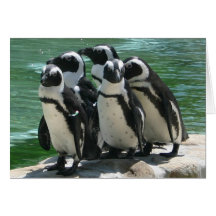Penguins Greeting Card