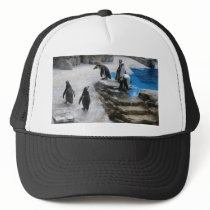 Penguins Mesh Hats