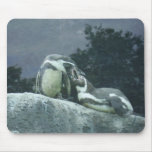 Penguins lunch break mousepads