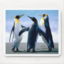 Penguins Mouse Pads