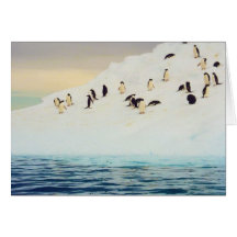 Penguins On Ice, greeting card