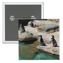 Penguins Pinback Button