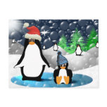 Penguins postcards
