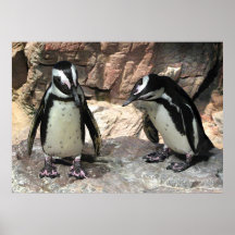 Penguins Print