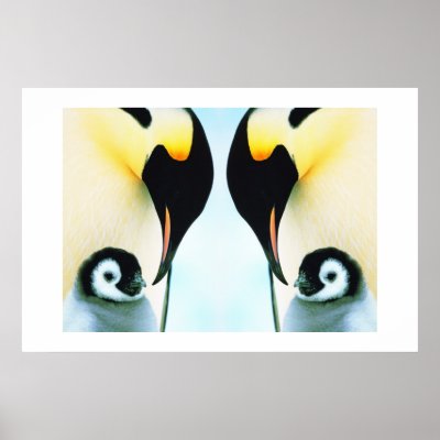 PENGUINS Poster