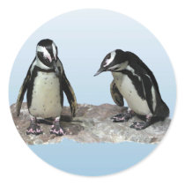 Penguins