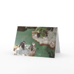 Penguins Sunbathe on a Rock (with Paintbrush) Greeting Cards