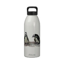 Penguins Drinking Bottles